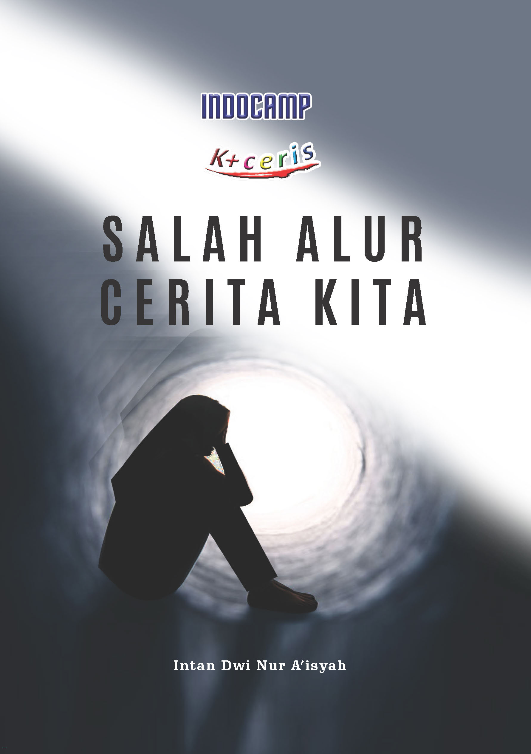 Sampul buku Salah Alur Cerita Ki...