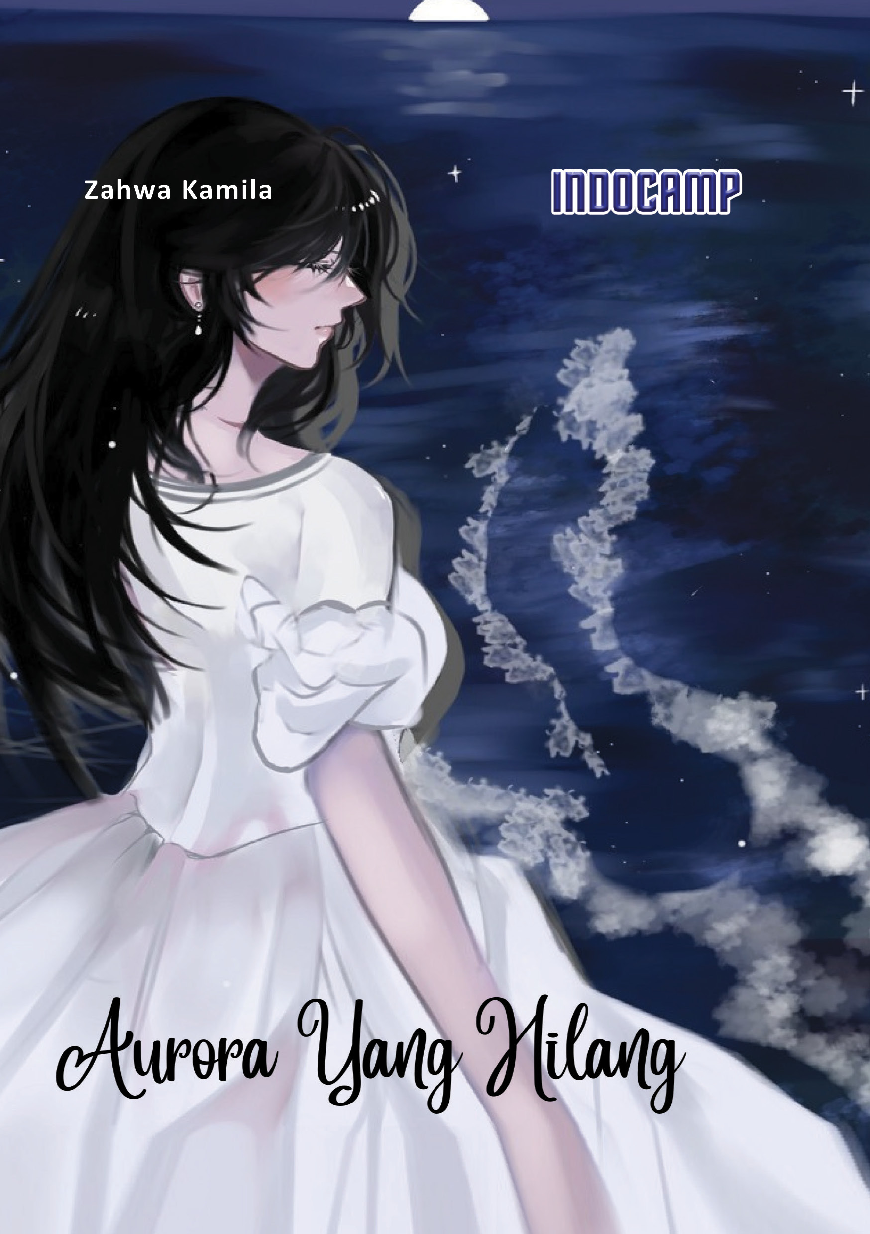 Sampul buku Aurora yang Hilang